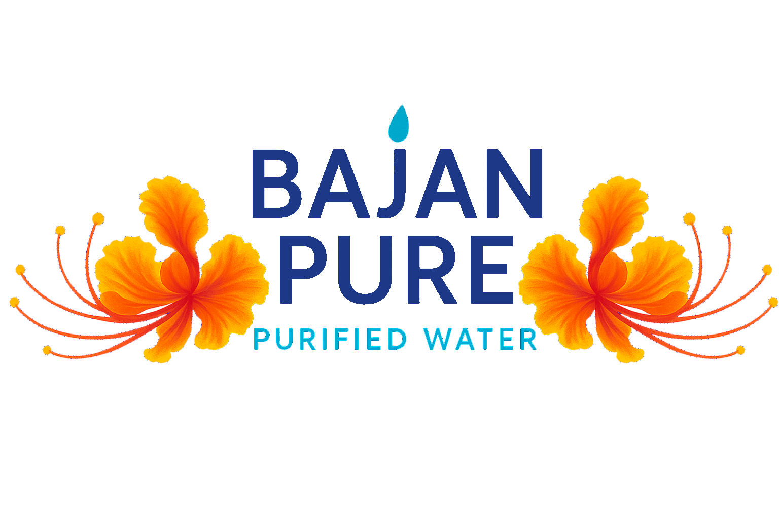 logo light